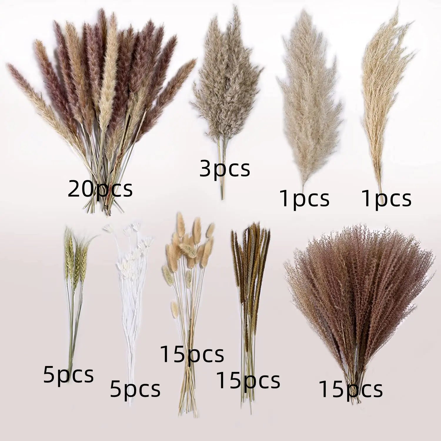 Amazon Wholesale Dried Flower Bouquet - Bunny Tail Grass