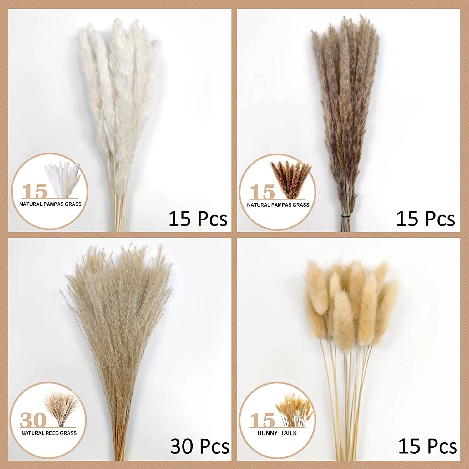 Amazon Wholesale Dried Flower Bouquet - Bunny Tail Grass