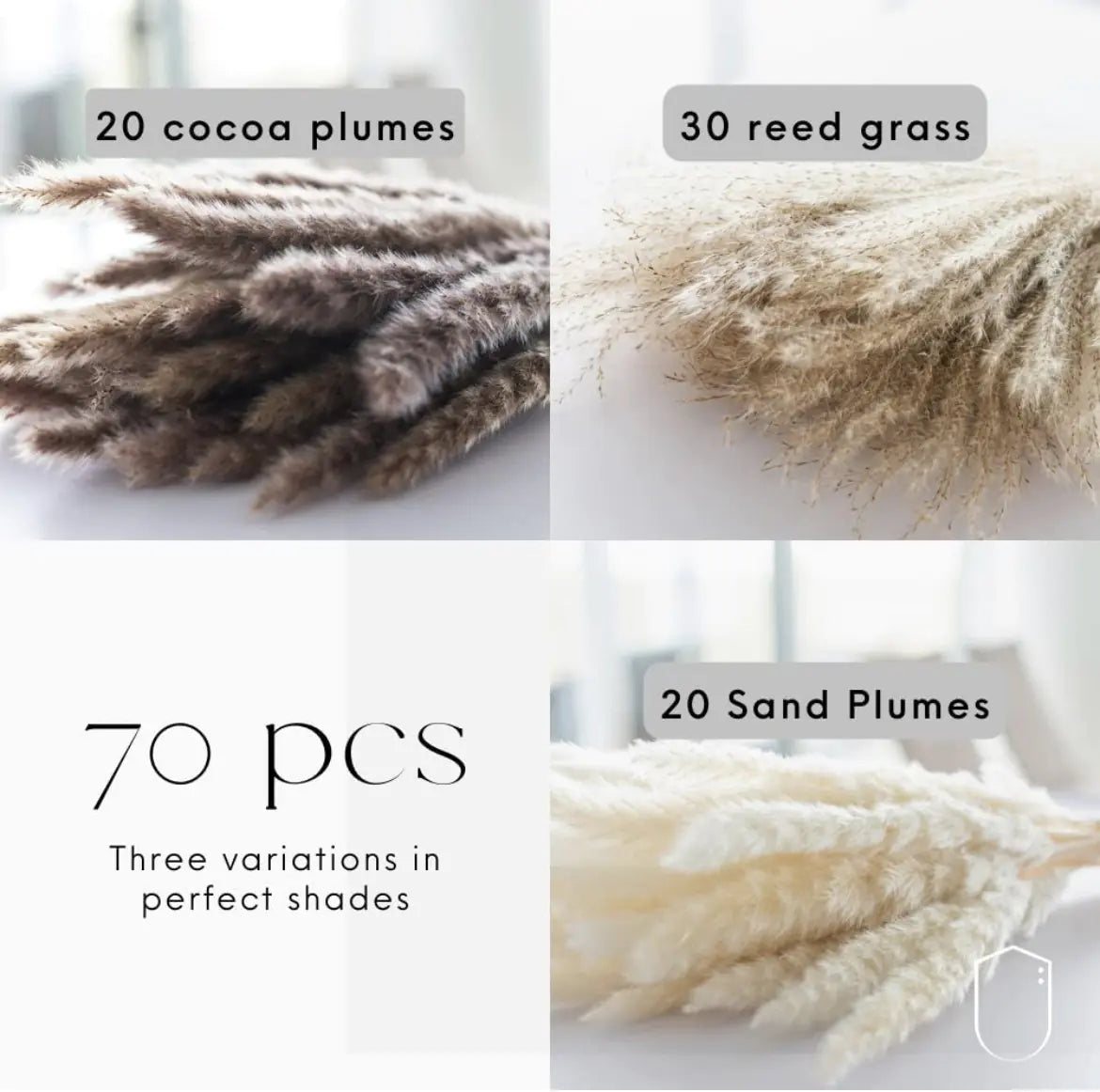 Amazon Wholesale Dried Flower Bouquet - Bunny Tail Grass