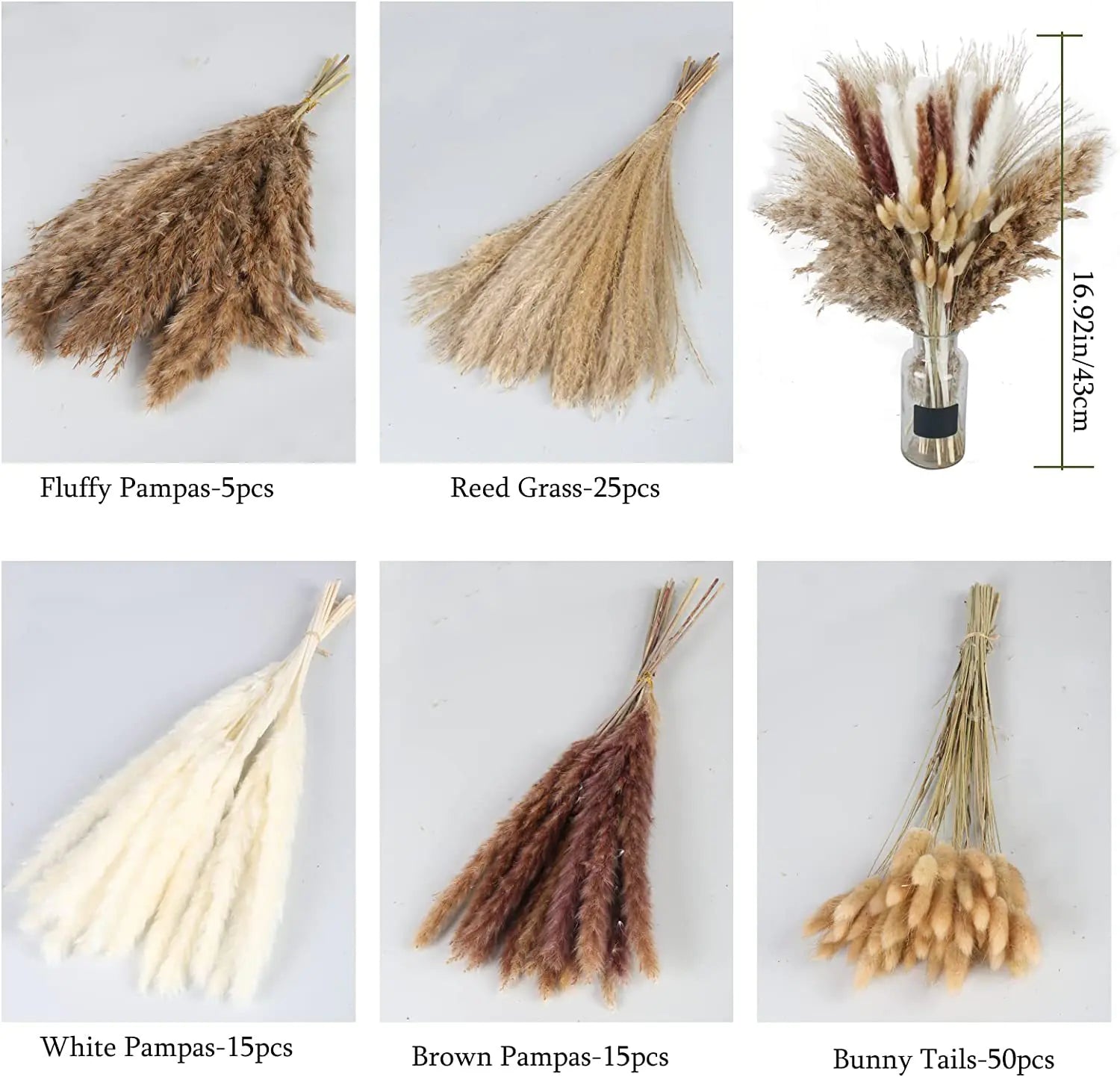 Amazon Wholesale Dried Flower Bouquet - Bunny Tail Grass