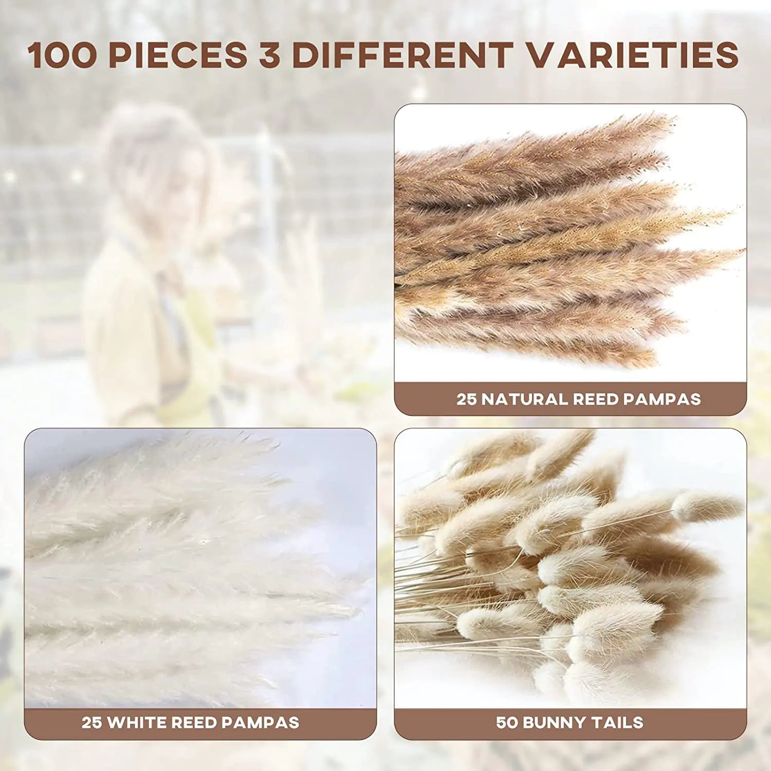 Amazon Wholesale Dried Flower Bouquet - Bunny Tail Grass