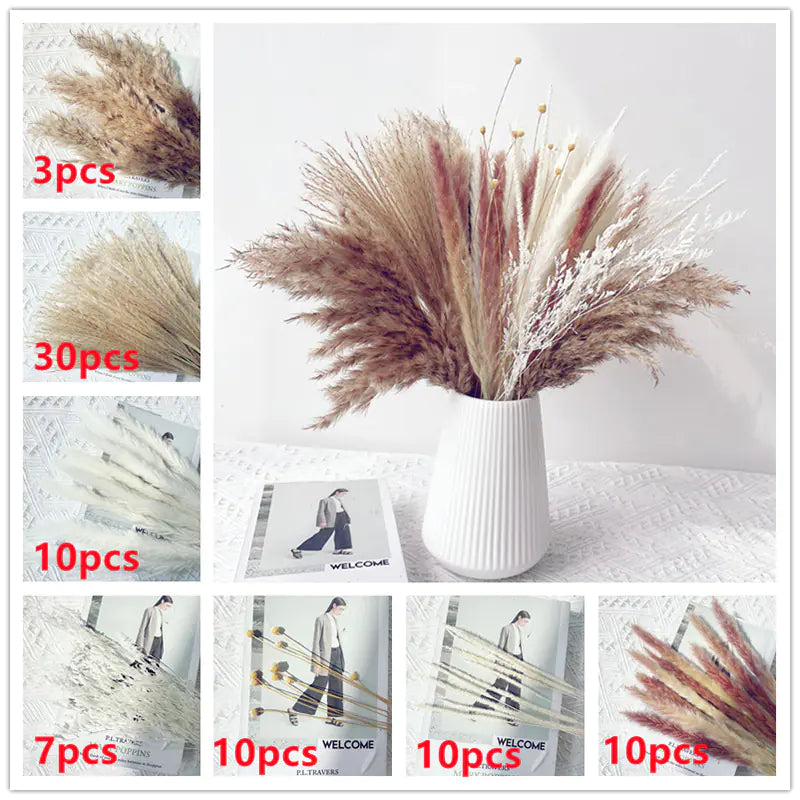 Amazon Wholesale Dried Flower Bouquet - Bunny Tail Grass