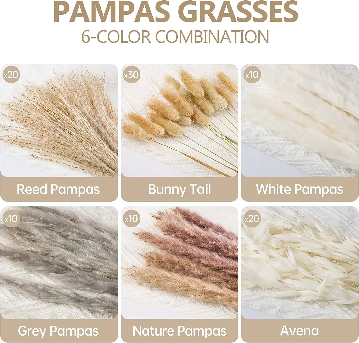 Amazon Wholesale Dried Flower Bouquet - Bunny Tail Grass