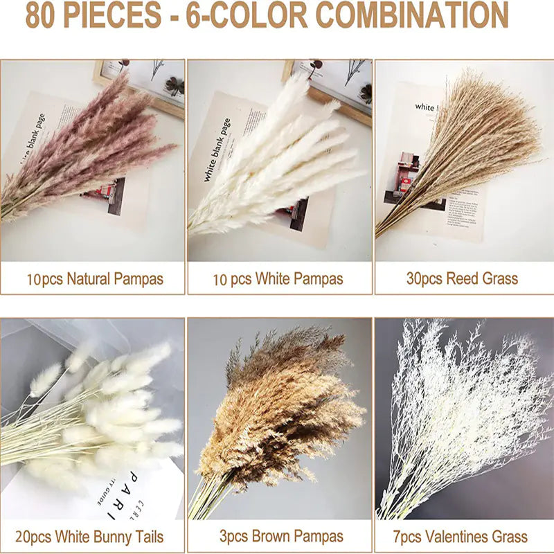 Amazon Wholesale Dried Flower Bouquet - Bunny Tail Grass