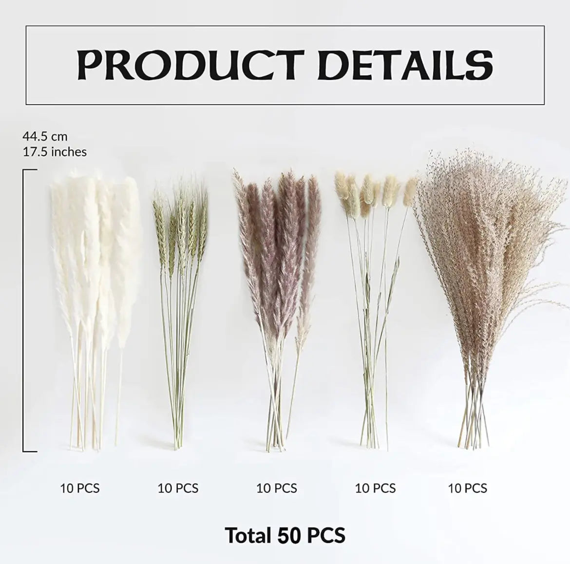 Amazon Wholesale Dried Flower Bouquet - Bunny Tail Grass