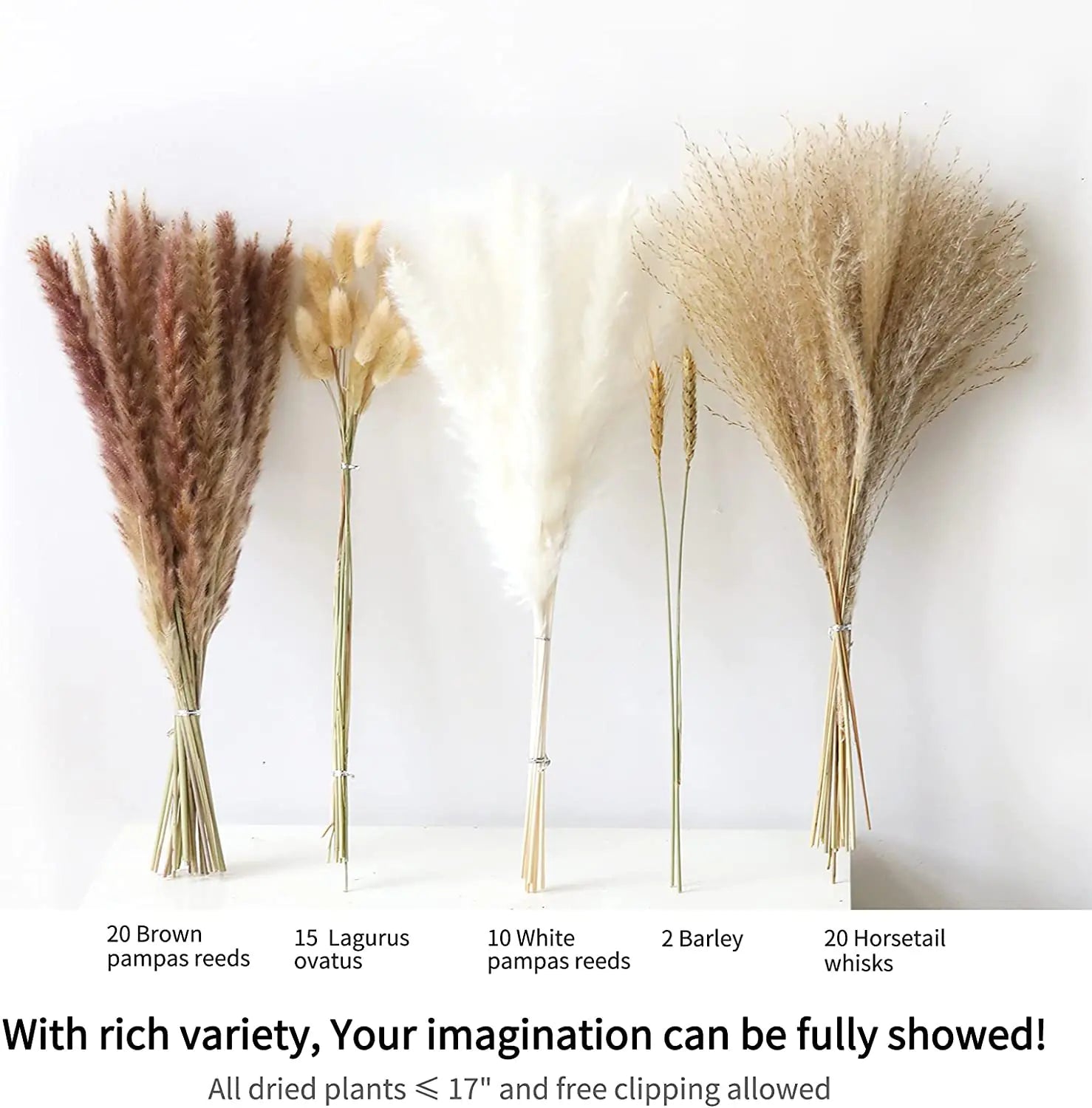 Amazon Wholesale Dried Flower Bouquet - Bunny Tail Grass