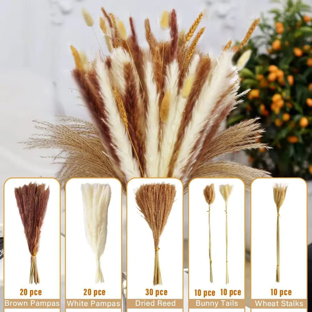 Amazon Wholesale Dried Flower Bouquet - Bunny Tail Grass