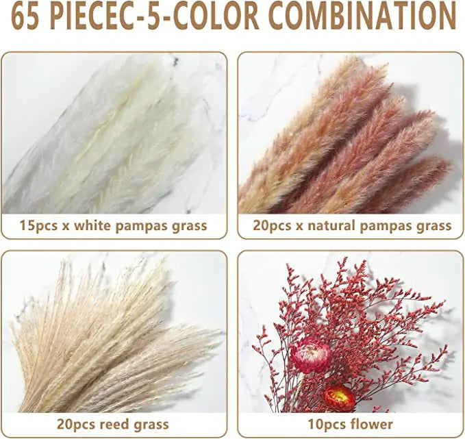 Amazon Wholesale Dried Flower Bouquet - Bunny Tail Grass