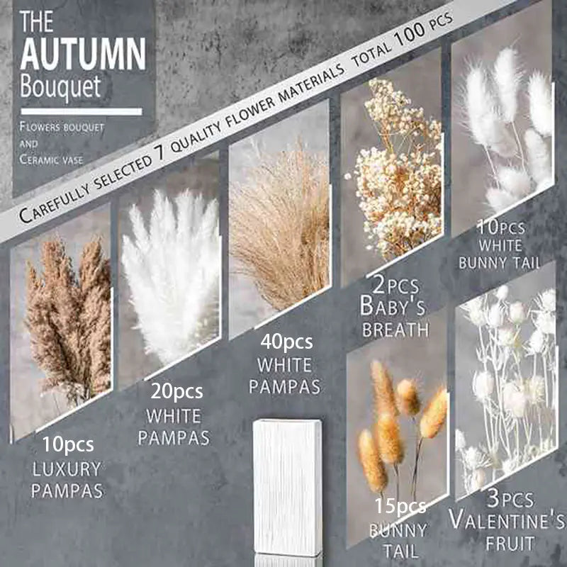 Amazon Wholesale Dried Flower Bouquet - Bunny Tail Grass