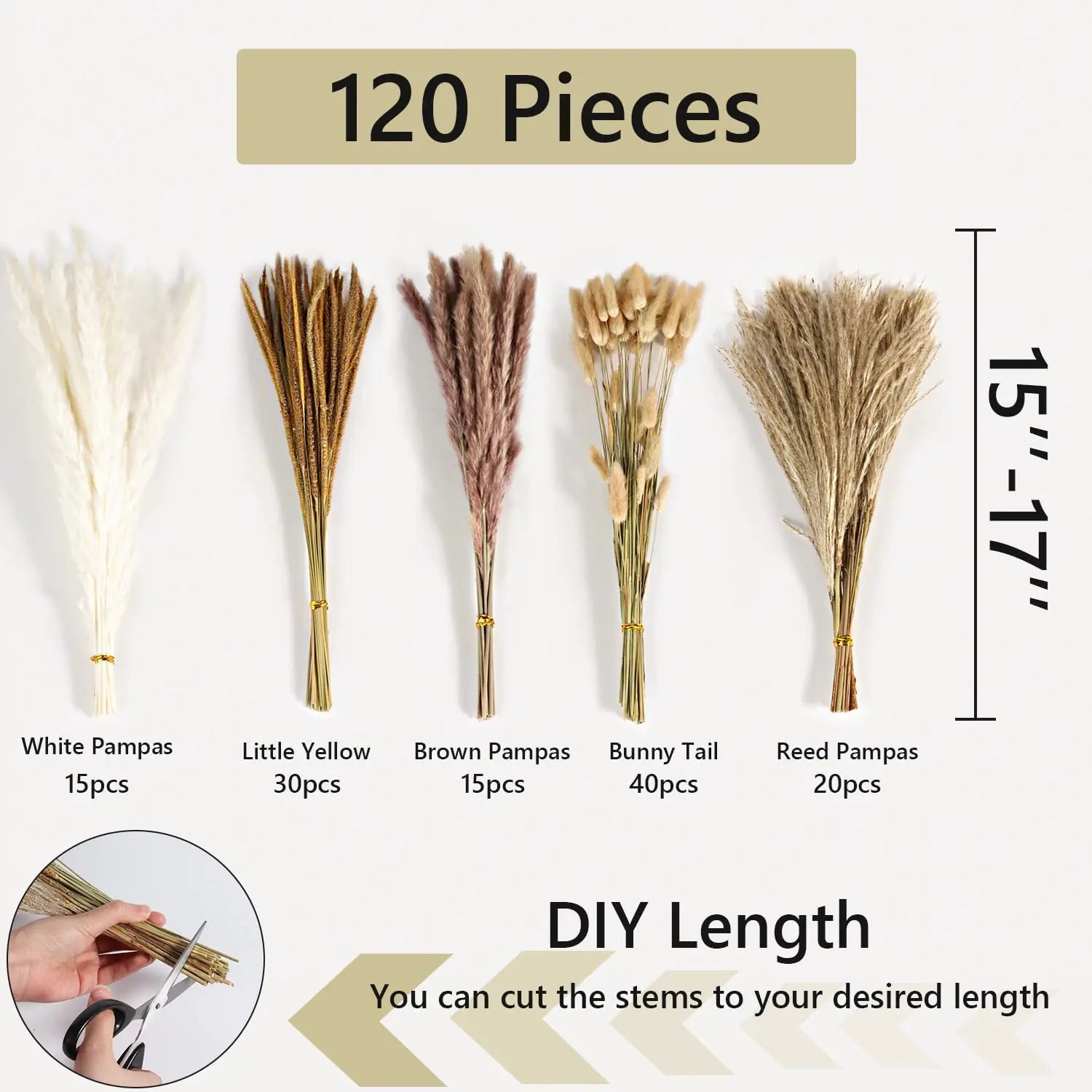 Amazon Wholesale Dried Flower Bouquet - Bunny Tail Grass