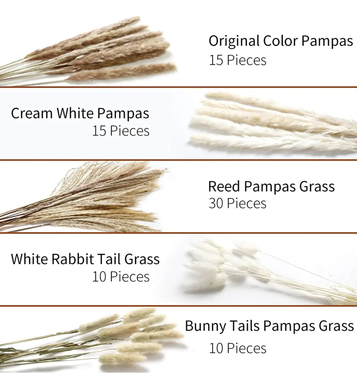 Amazon Wholesale Dried Flower Bouquet - Bunny Tail Grass