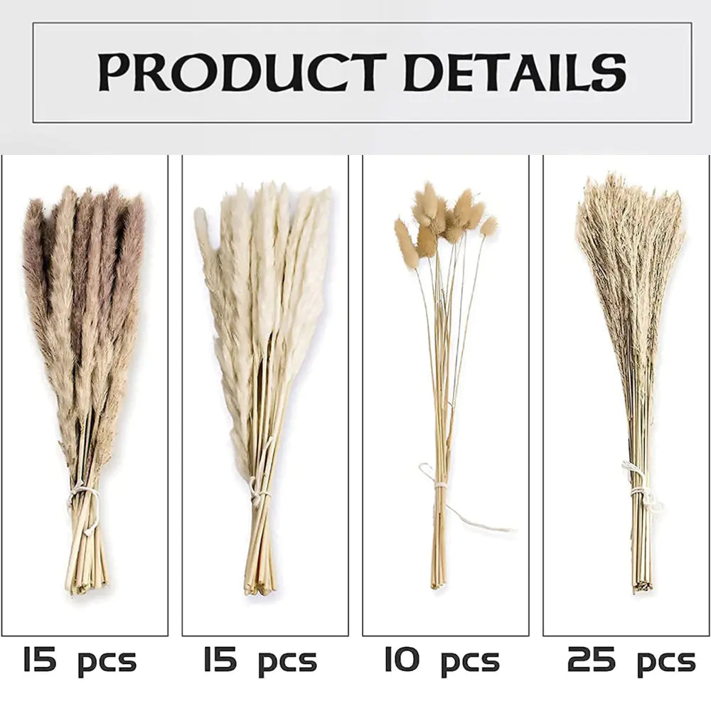 Amazon Wholesale Dried Flower Bouquet - Bunny Tail Grass