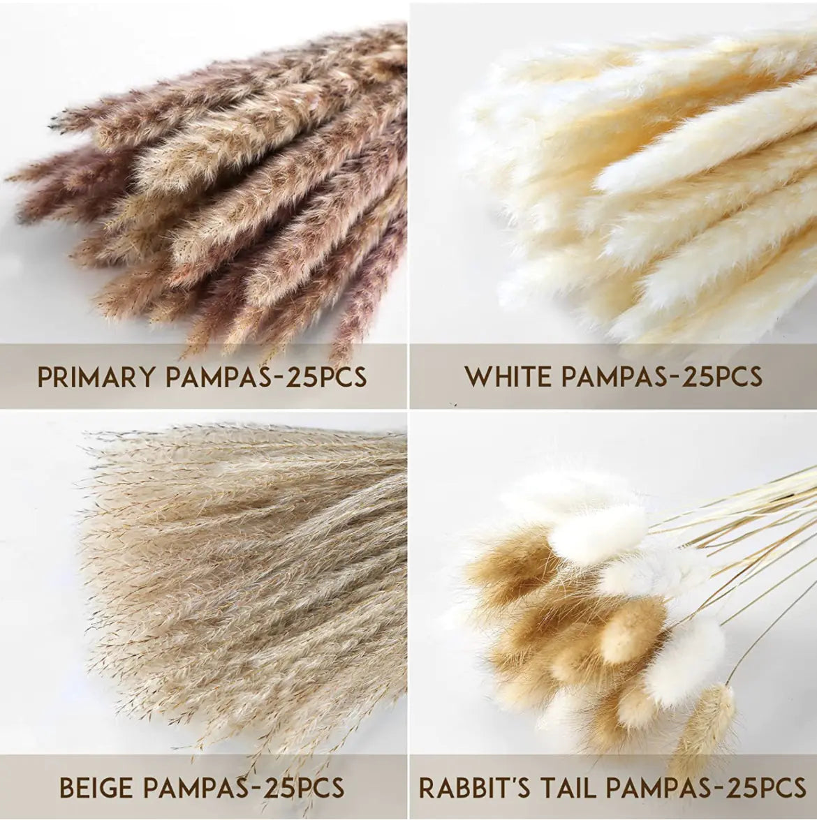 Amazon Wholesale Dried Flower Bouquet - Bunny Tail Grass