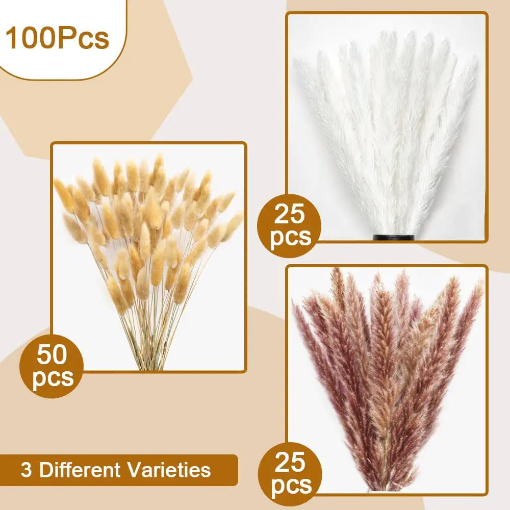 Amazon Wholesale Dried Flower Bouquet - Bunny Tail Grass