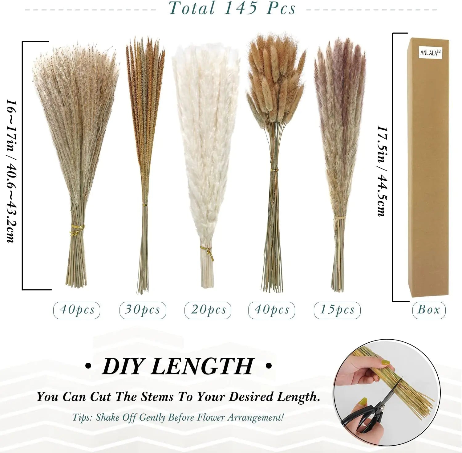 Amazon Wholesale Dried Flower Bouquet - Bunny Tail Grass