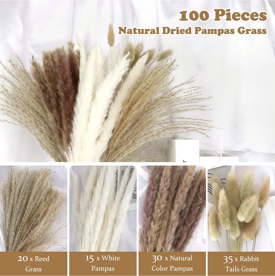 Amazon Wholesale Dried Flower Bouquet - Bunny Tail Grass