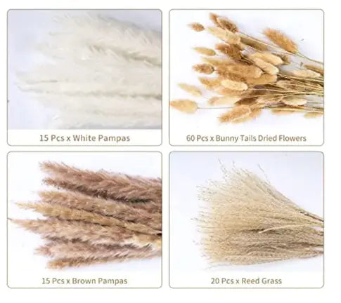 Amazon Wholesale Dried Flower Bouquet - Bunny Tail Grass