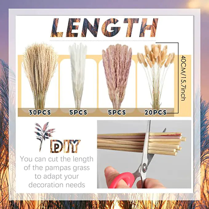 Amazon Wholesale Dried Flower Bouquet - Bunny Tail Grass