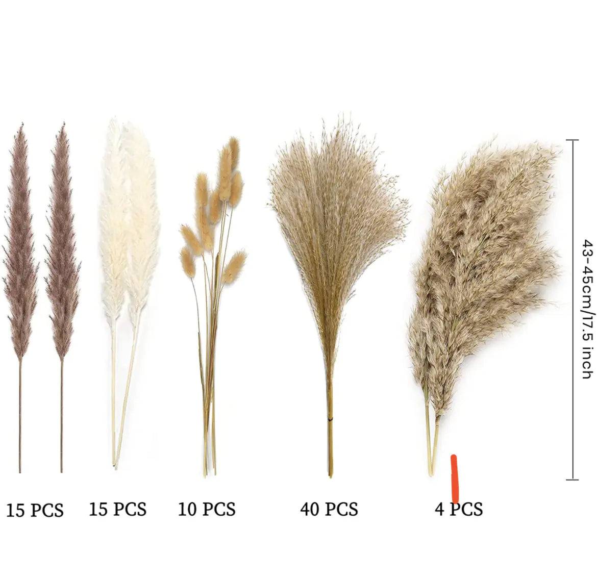 Amazon Wholesale Dried Flower Bouquet - Bunny Tail Grass