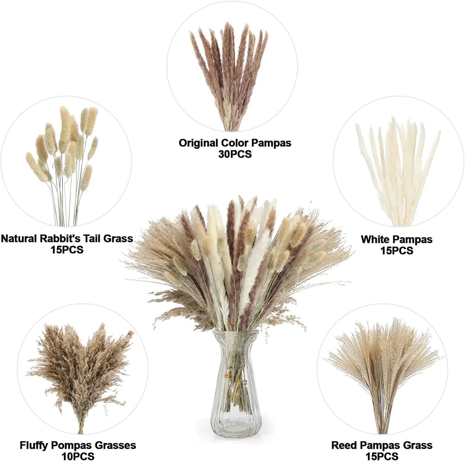Amazon Wholesale Dried Flower Bouquet - Bunny Tail Grass