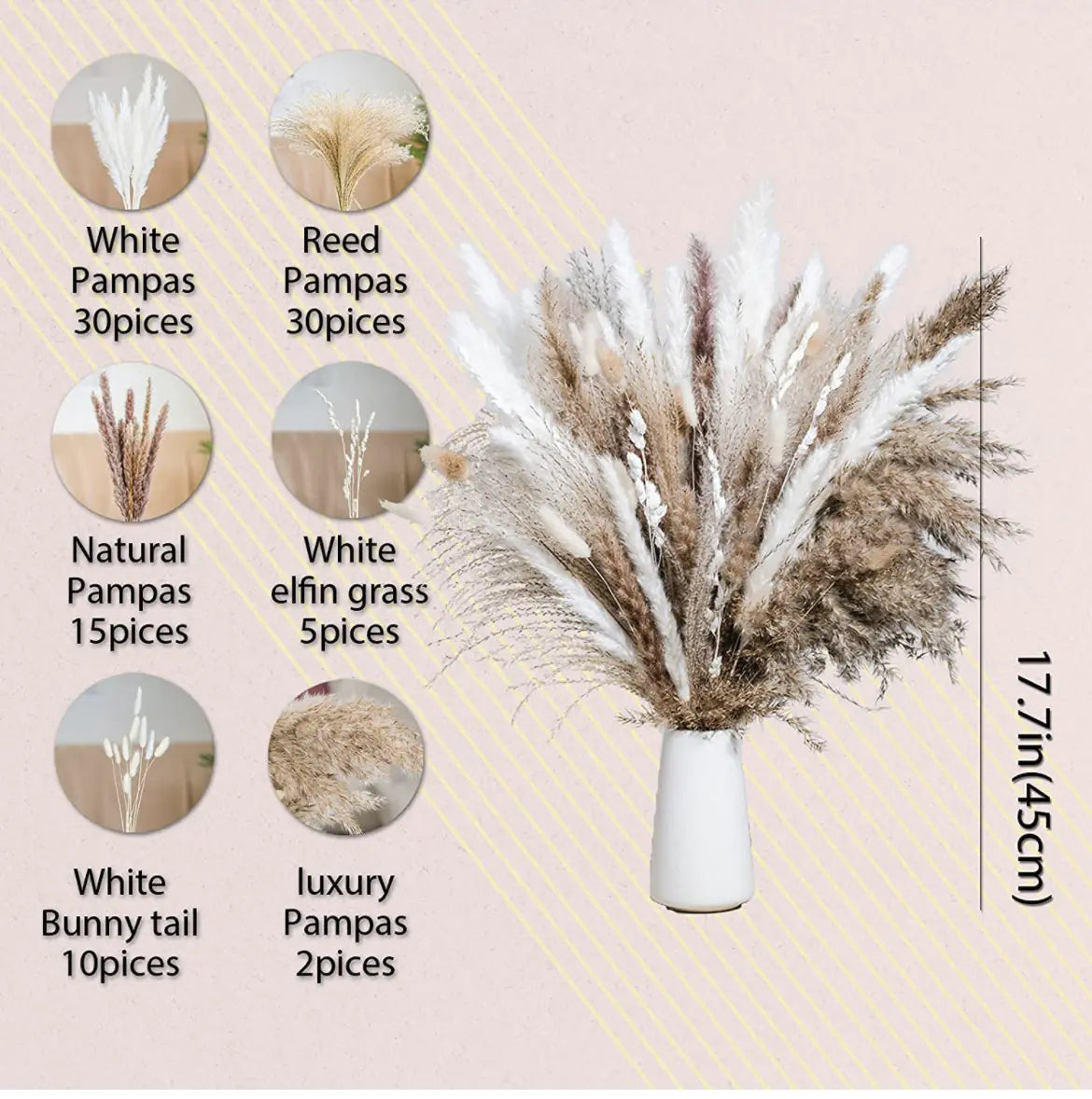 Amazon Wholesale Dried Flower Bouquet - Bunny Tail Grass