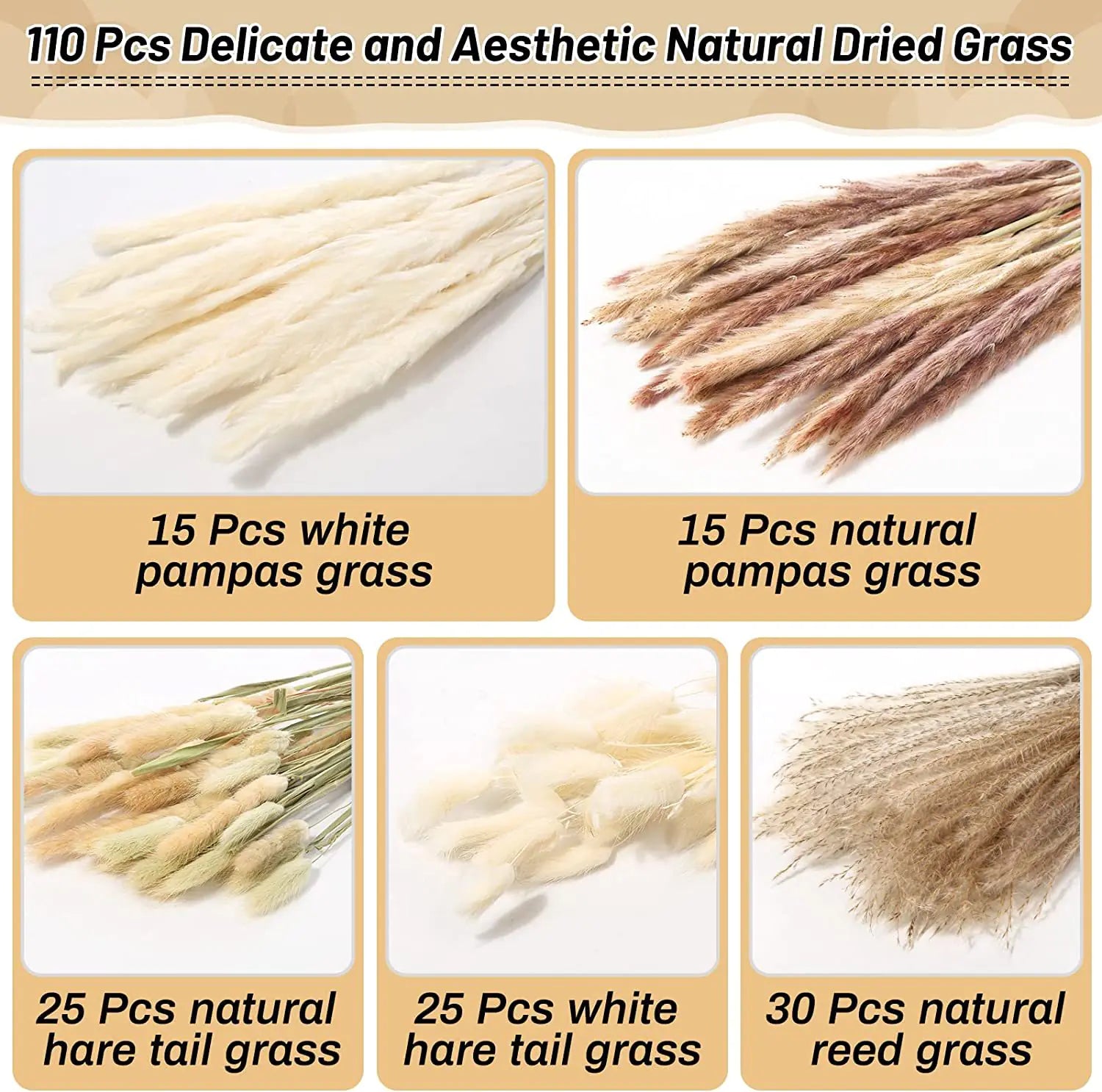 Amazon Wholesale Dried Flower Bouquet - Bunny Tail Grass