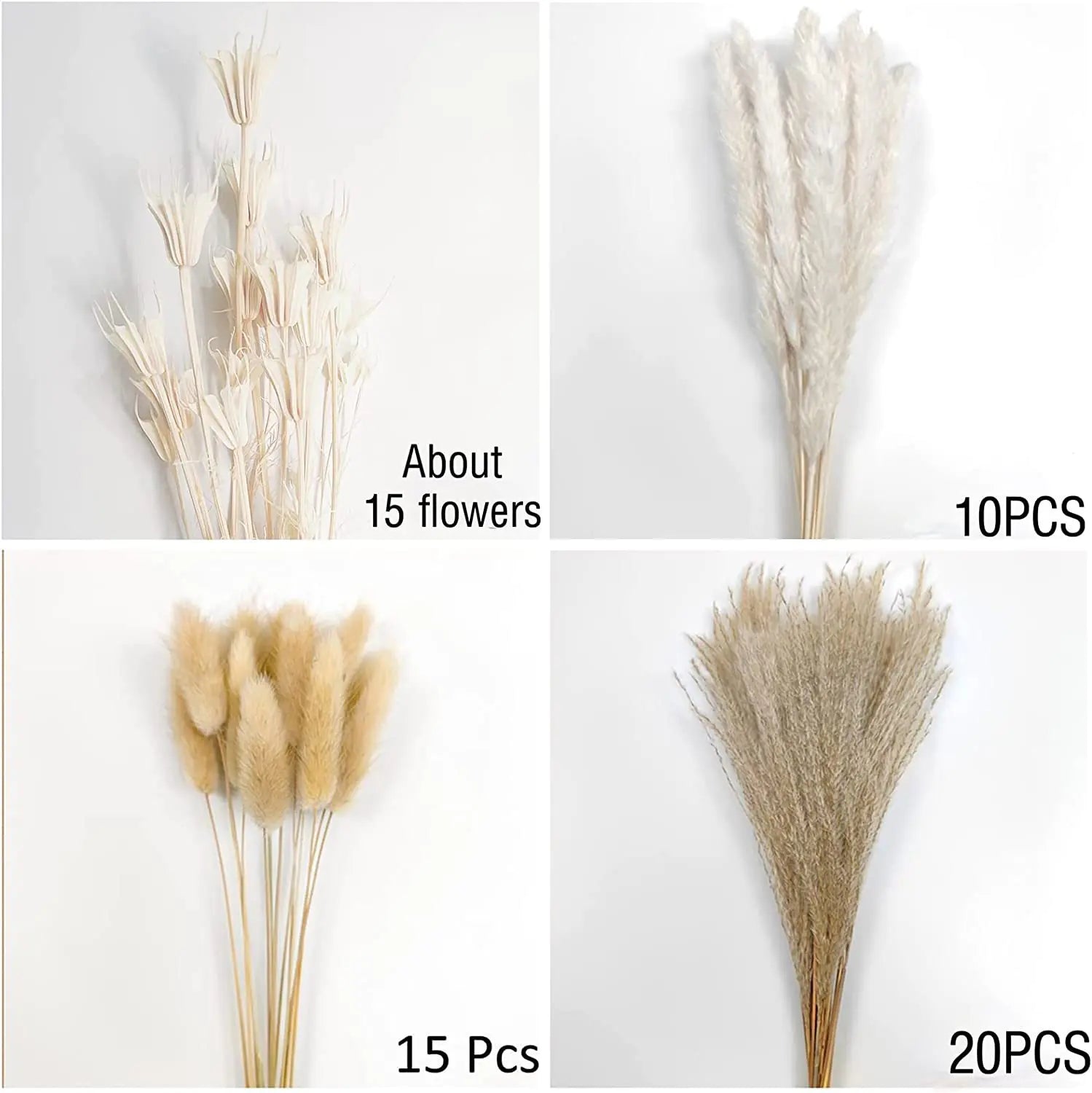 Amazon Wholesale Dried Flower Bouquet - Bunny Tail Grass