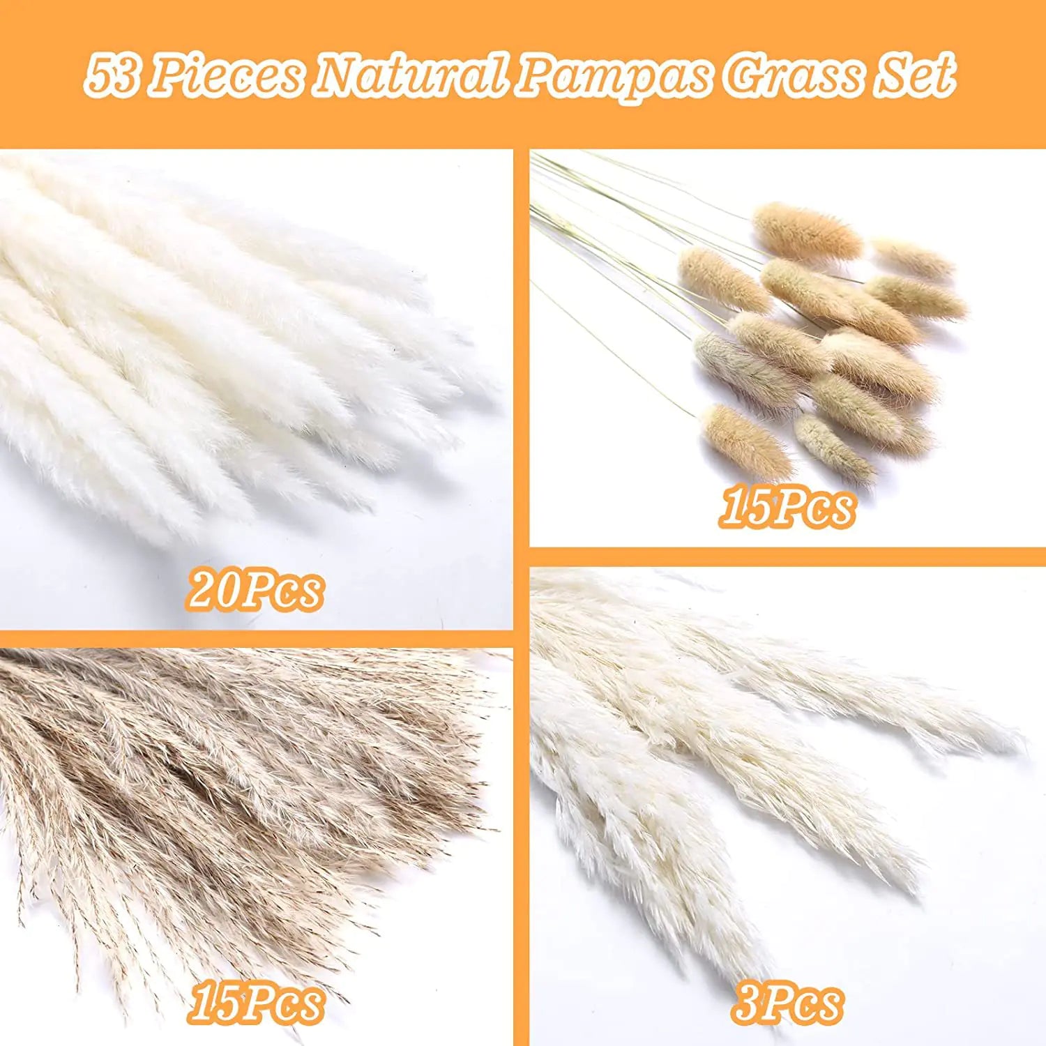 Amazon Wholesale Dried Flower Bouquet - Bunny Tail Grass
