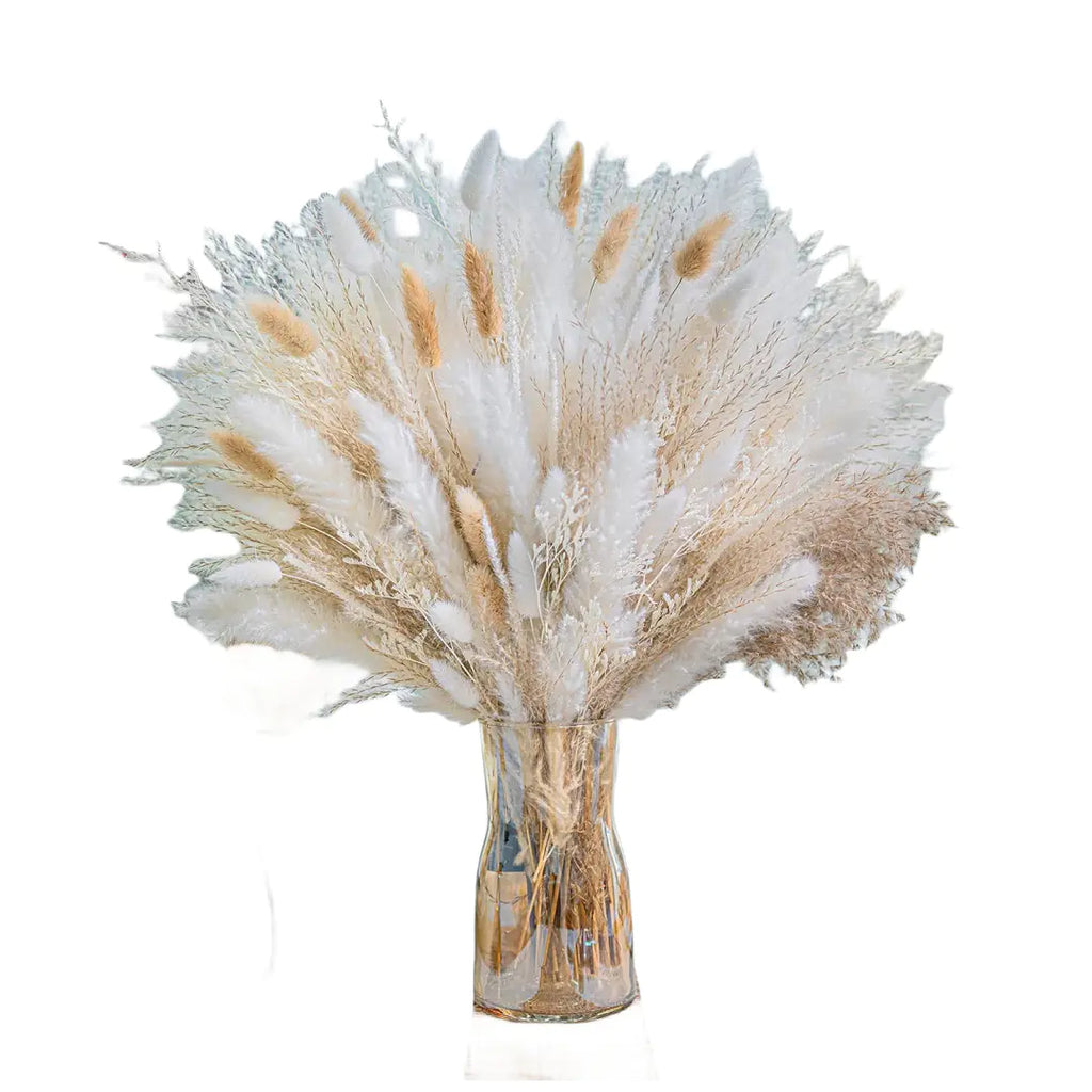 Amazon Wholesale Dried Flower Bouquet - Bunny Tail Grass