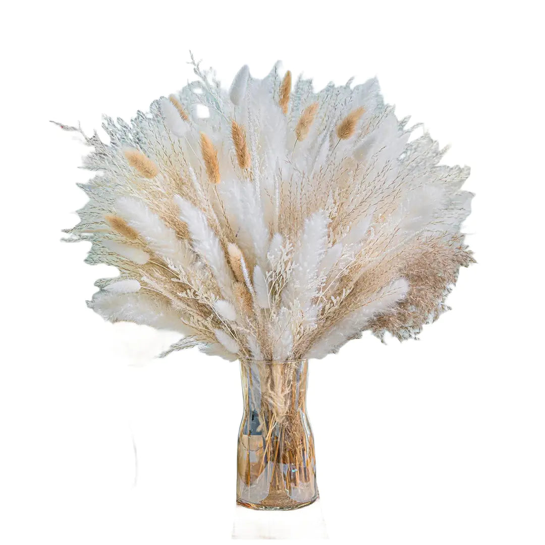 Amazon Wholesale Dried Flower Bouquet - Bunny Tail Grass